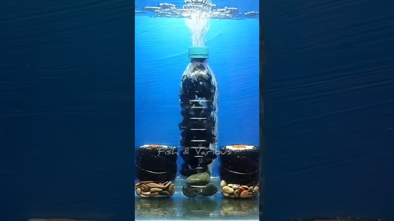 Bio filter for fish tank DIY | Aquarium filter DIY