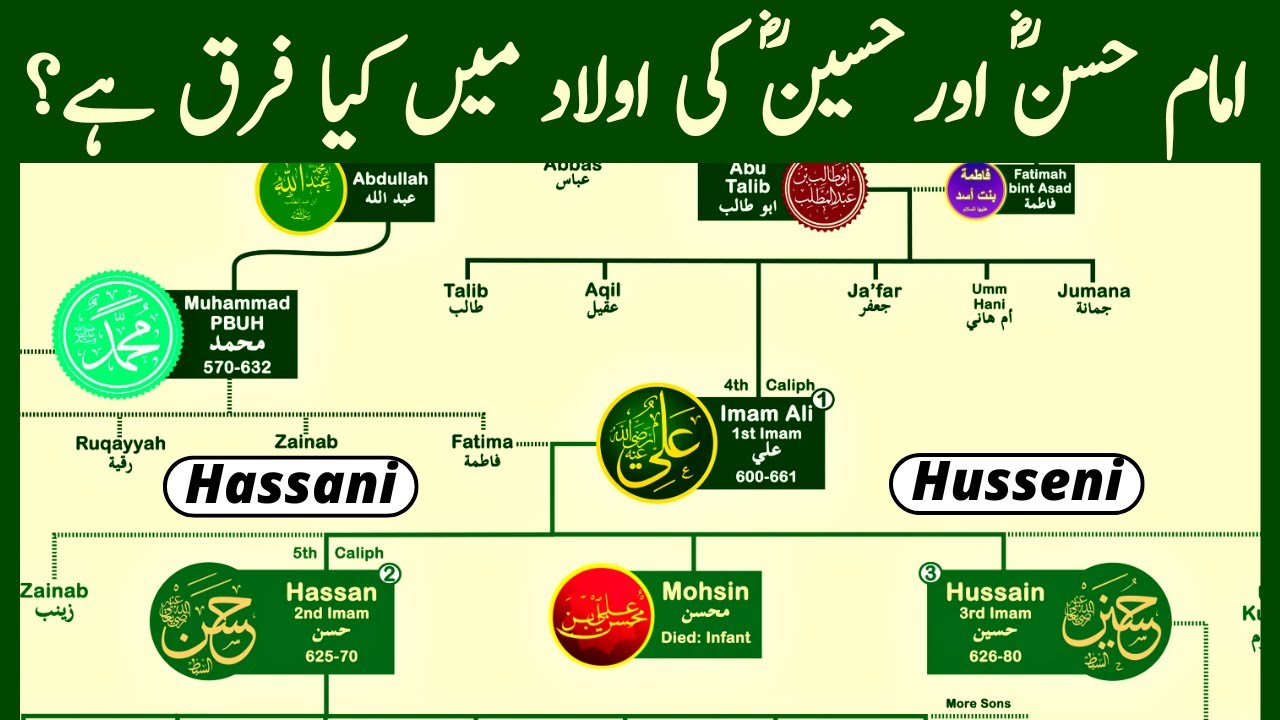 Hazrat Ali Family Tree | Imam Hassan & Hussein complete Family Tree