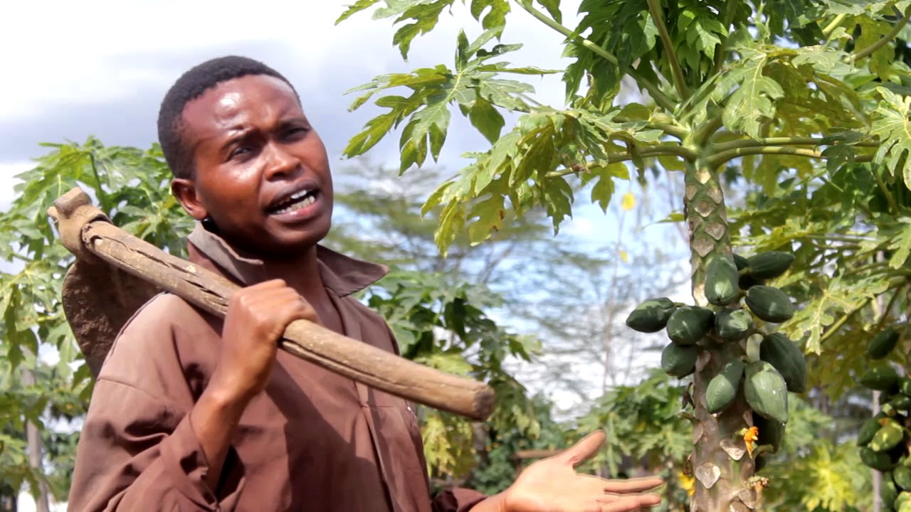 Rathimaga wira wa moko makwa Matu Ndogo Official