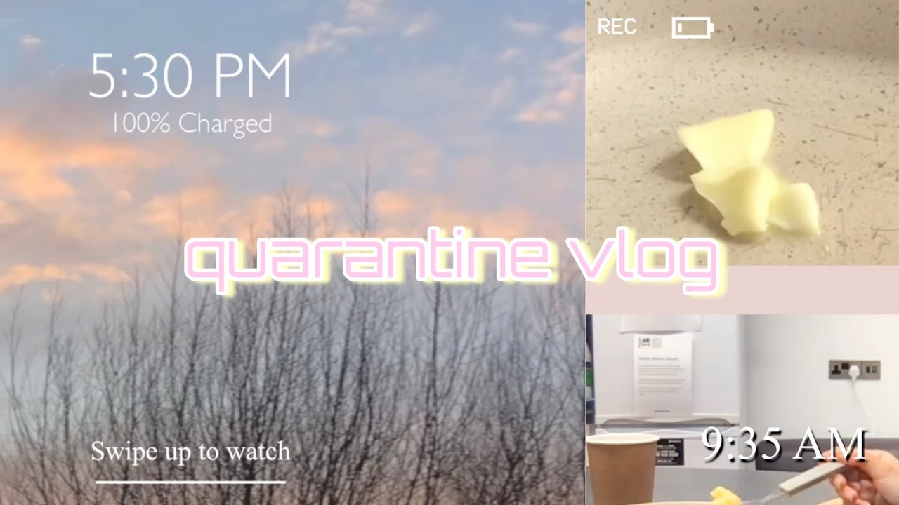 quarantine vlog 🧚🏻‍♀️⛅️ | cooking and working