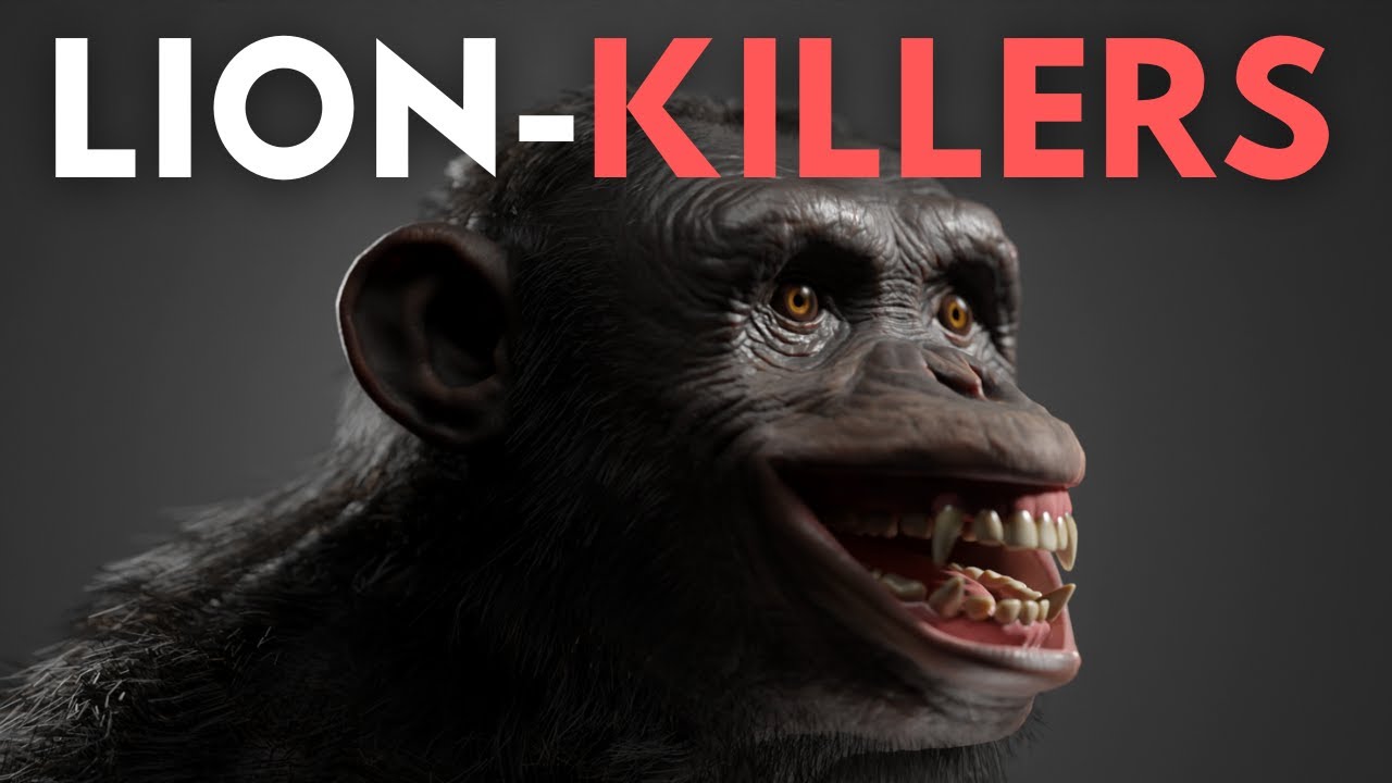 The Truth about Bondo / Bili Apes
