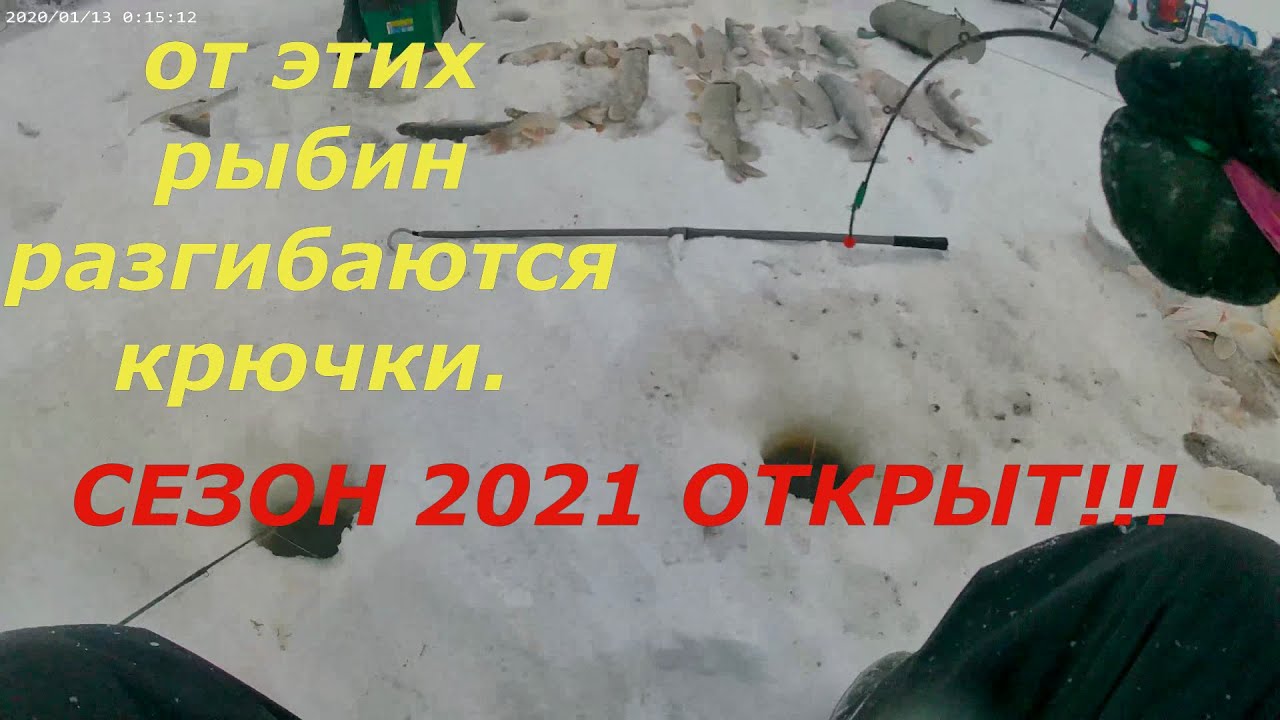 РЫБАЛКА 2021. Эти рыбины разгибают крючки и рвут леску.