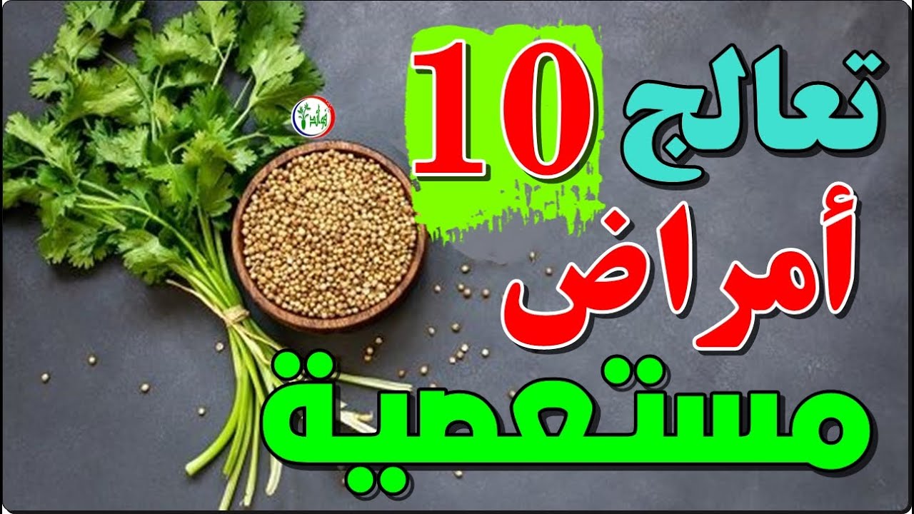 فوائد بذور الكزبرة لا توجد في اي نبات / لو علم الناس فوائد حبوب الكزبرة لتناولوها في الصباح والمساء