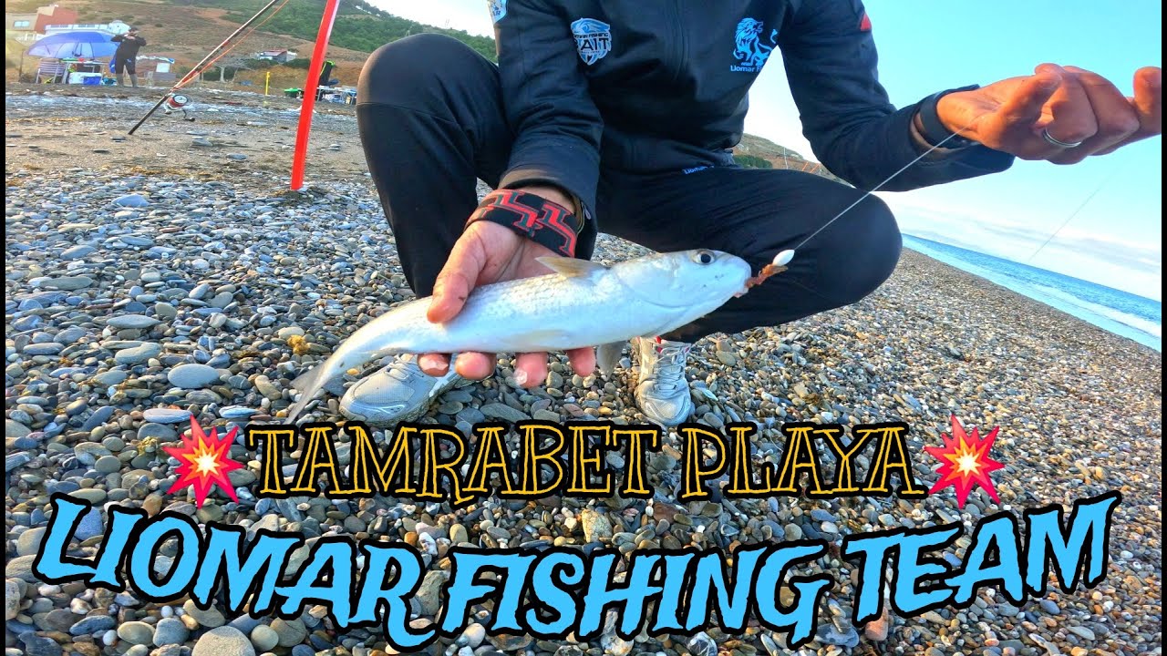 مصايد الشمال حصيلة متنوعة ، شاطئ تمرابط💥💥💥SURFCASTING 🐟🐟🐟LIOMAR FISHING TEAM