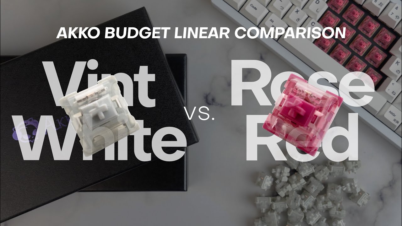 Akko CS Budget Linear Comparison | Vintage White vs Rose Red