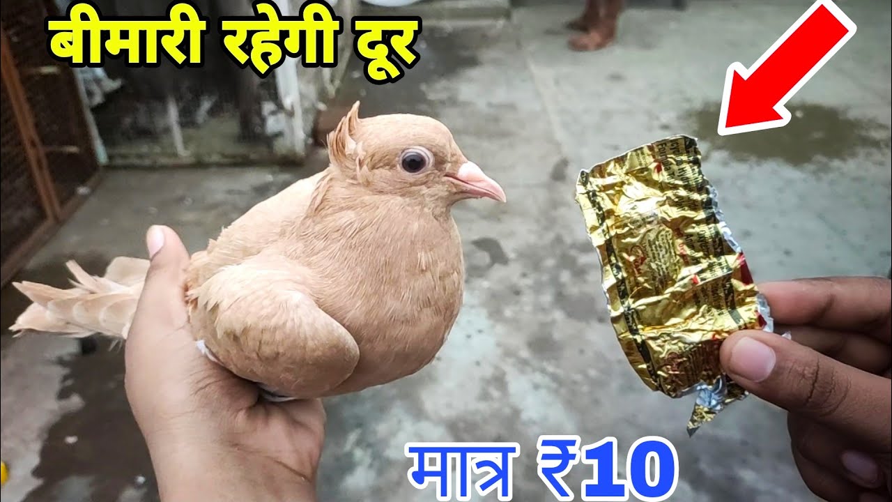 सिर्फ एक 