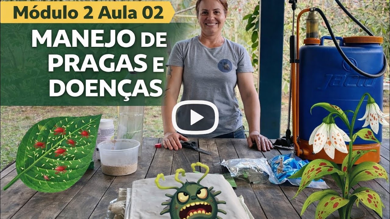 Manejo de pragas e doenças