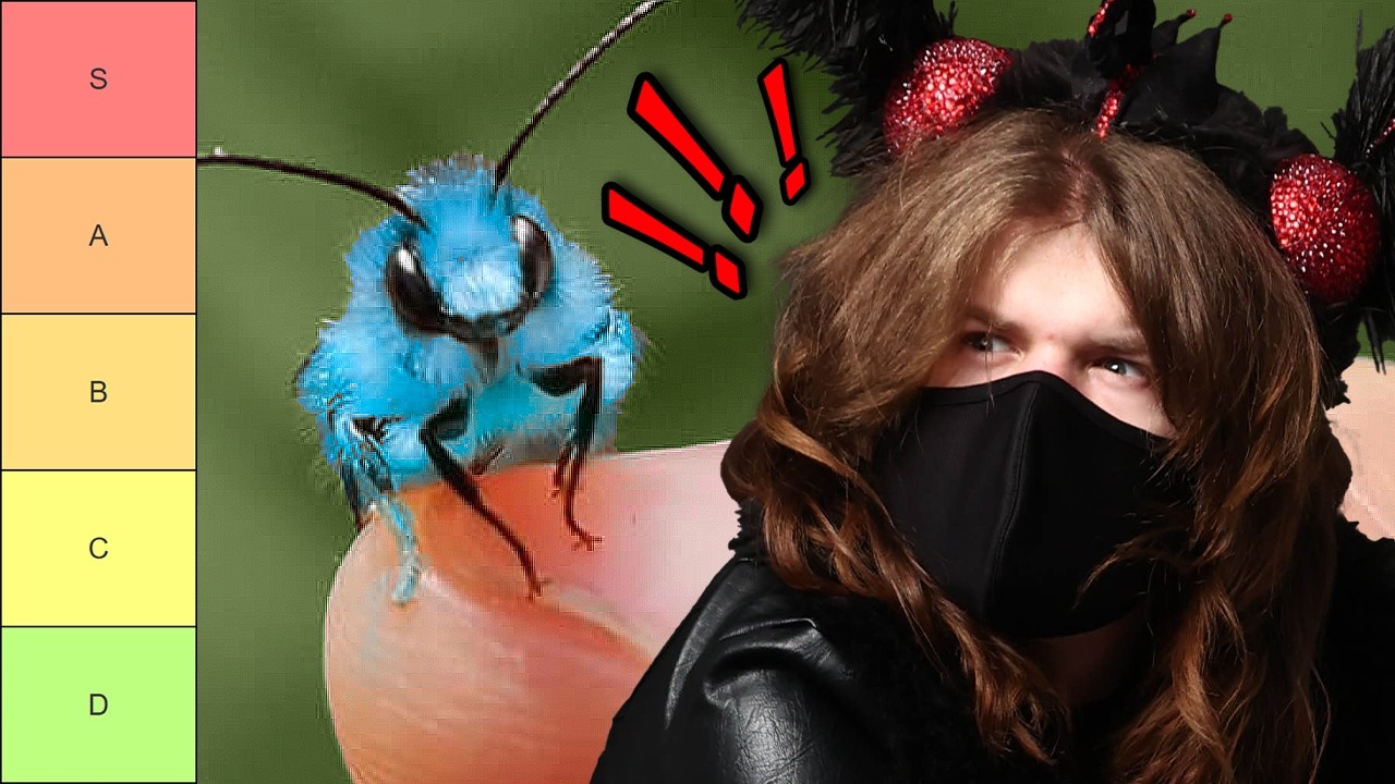 Ranking my bug friends