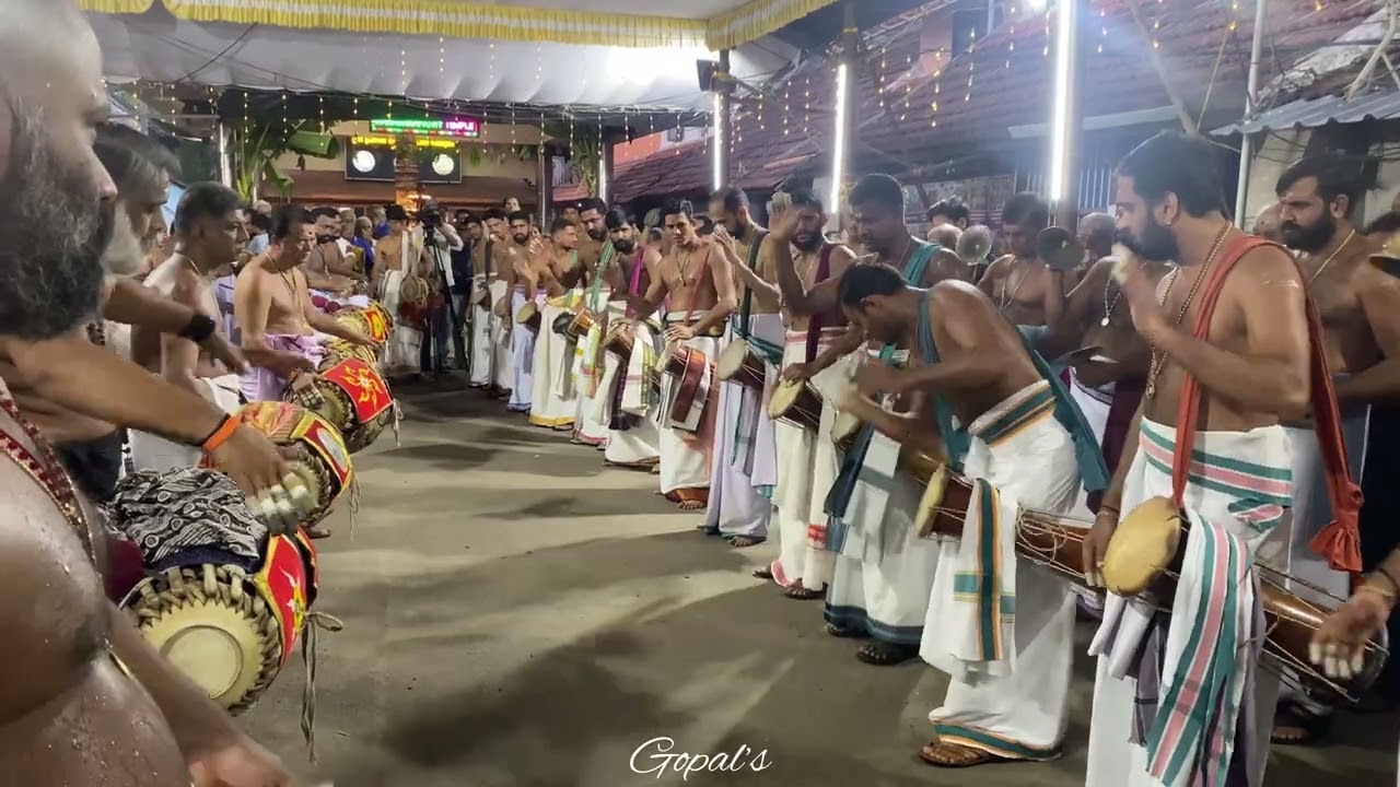 Panchavadyam - Ottapalam hari | Chathapuram kumbhabishekam day 2024 #panchavadyam