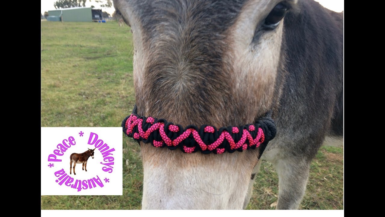 Zig Zag paracord noseband for rope horse halter
