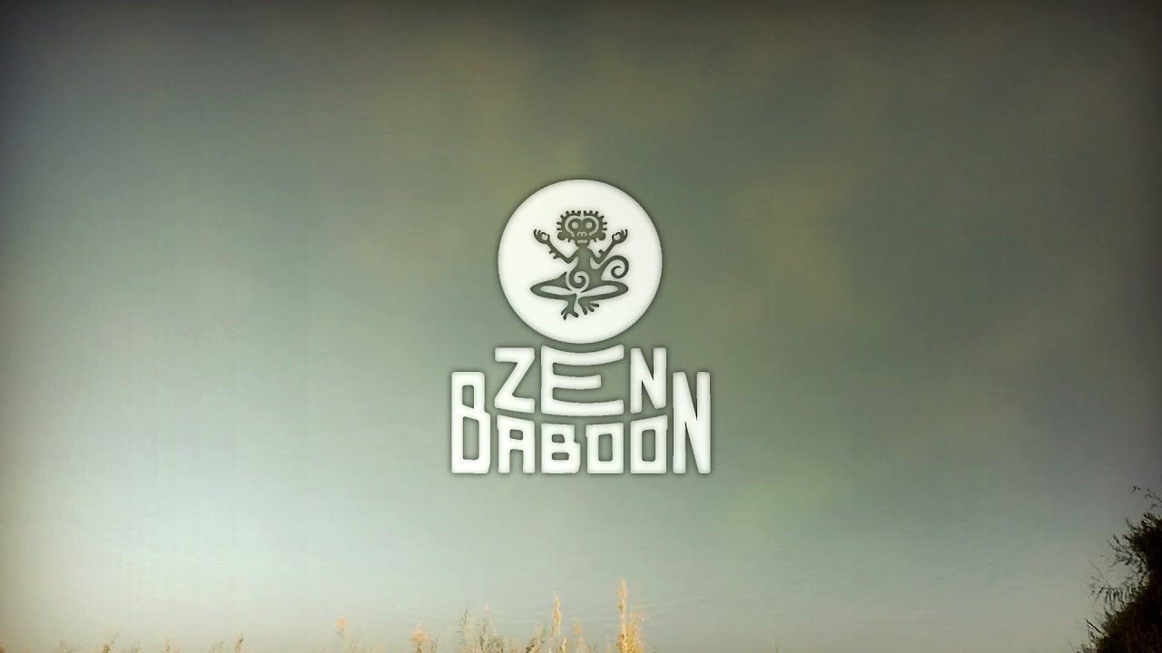 Zen Baboon for Anthropos