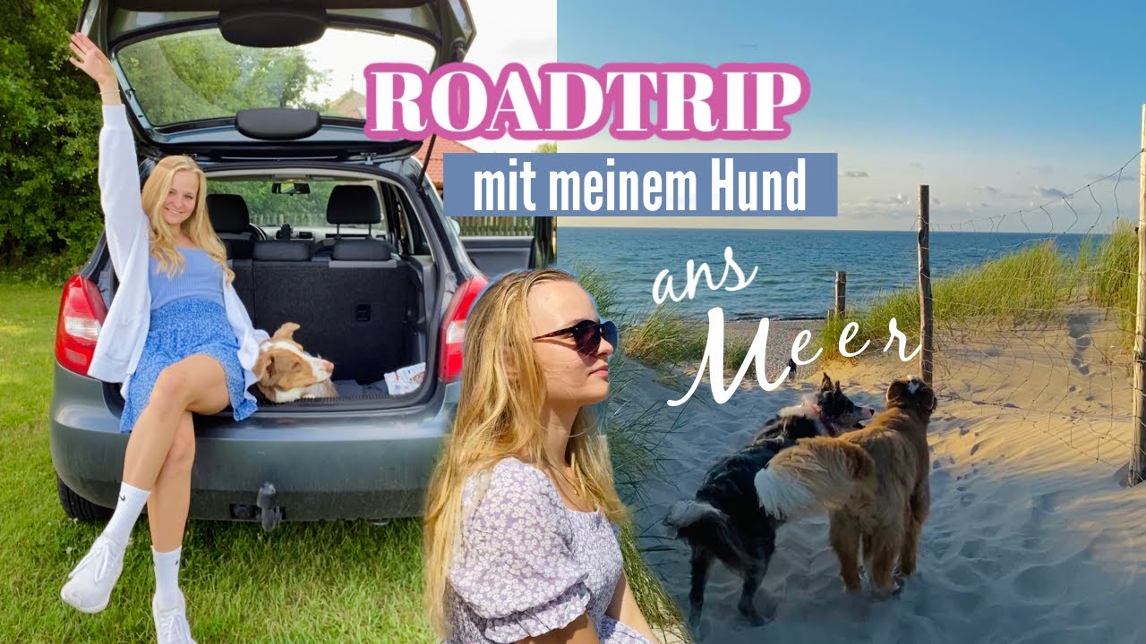 8h ROADTRIP MIT MEINEM HUND ANS MEER 🐶🌊 🚗 // Miss Aliana