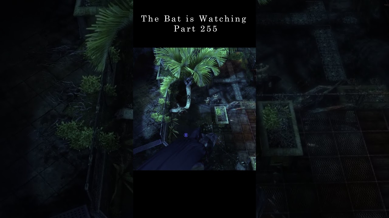 The Bat is Watching Part 255 