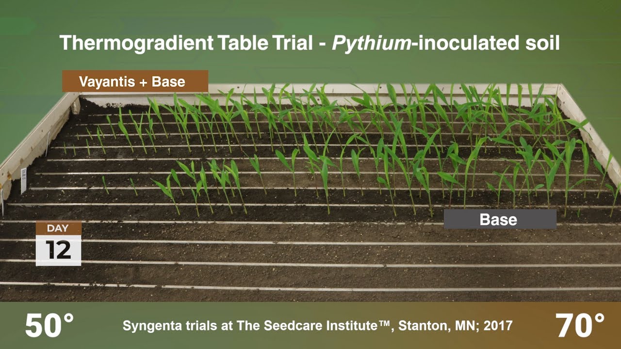 A New Standard of Pythium Protection