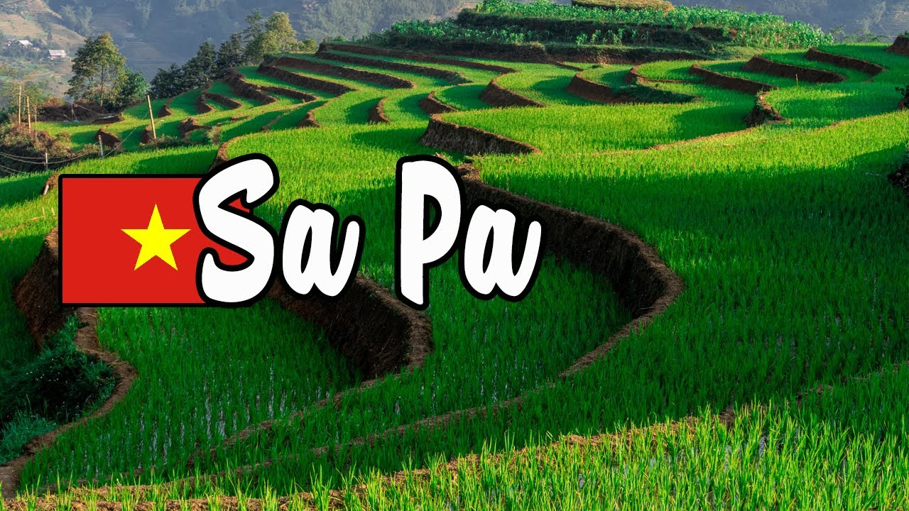 🇻🇳 SAPA VIETNAM - CAT CAT VILLAGE 🌿 TERRAZAS DE ARROZ 🌎 VIAJE A VIETNAM