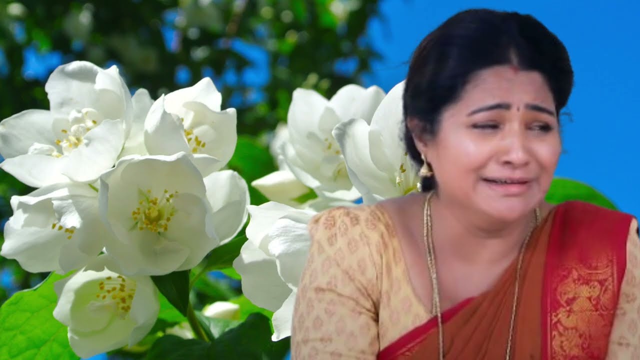 Pandian Store 2 Serial Upcoming Episode Review February 20th | 2026