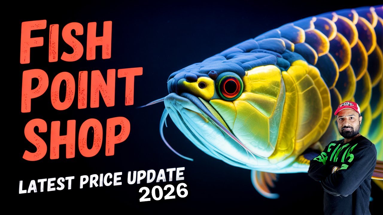 Saddar Aquarium Market 2026 🔥 Massive Exotic Thailand Fish Shipment | Fish Point Saddar Update