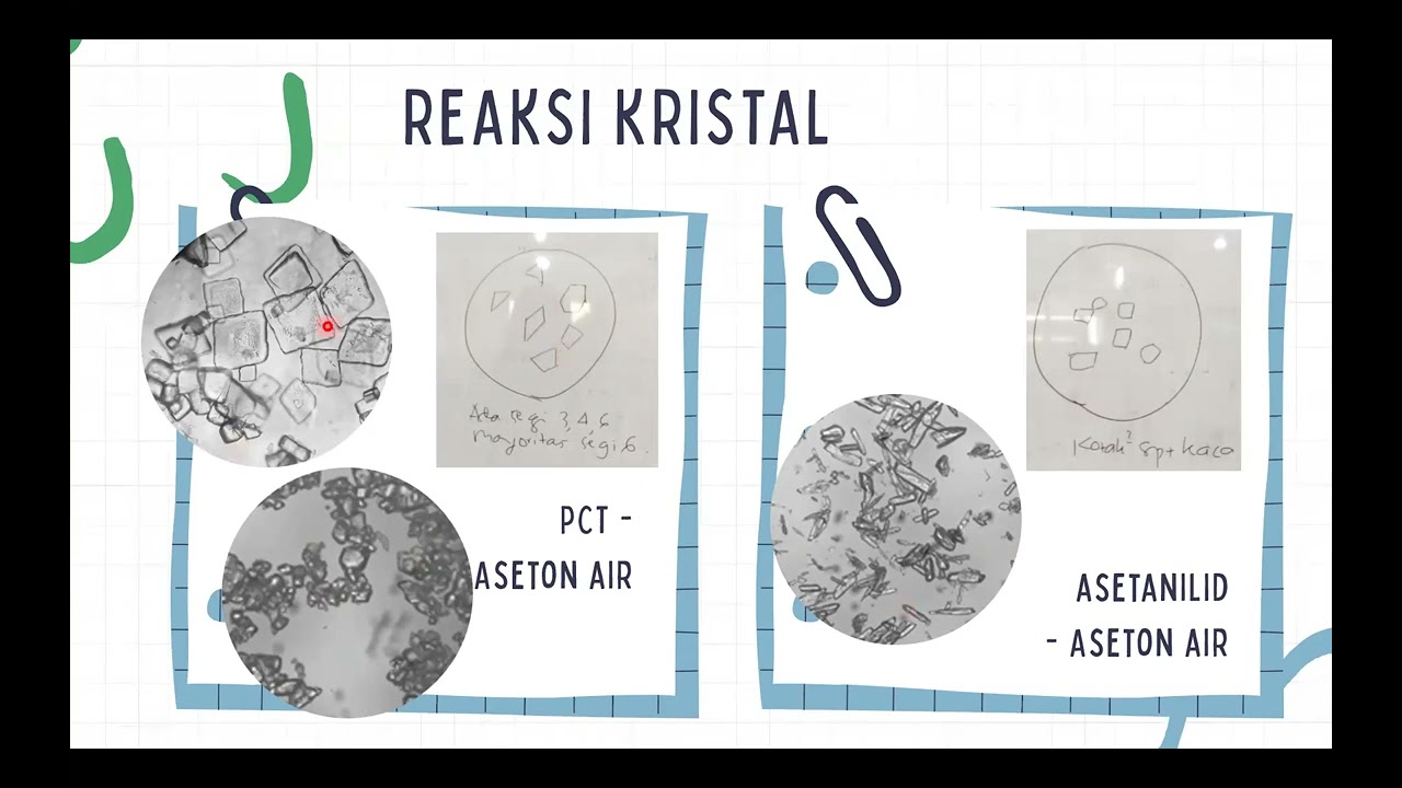 Rekaman K3 RPL Antihistamin dan Anilin