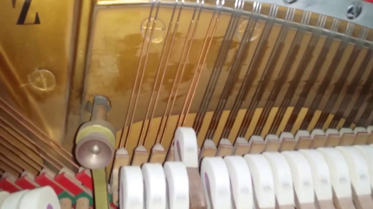 Assessment of Steinway model Z 115cm upright piano 1969 vs Welmar and Knight