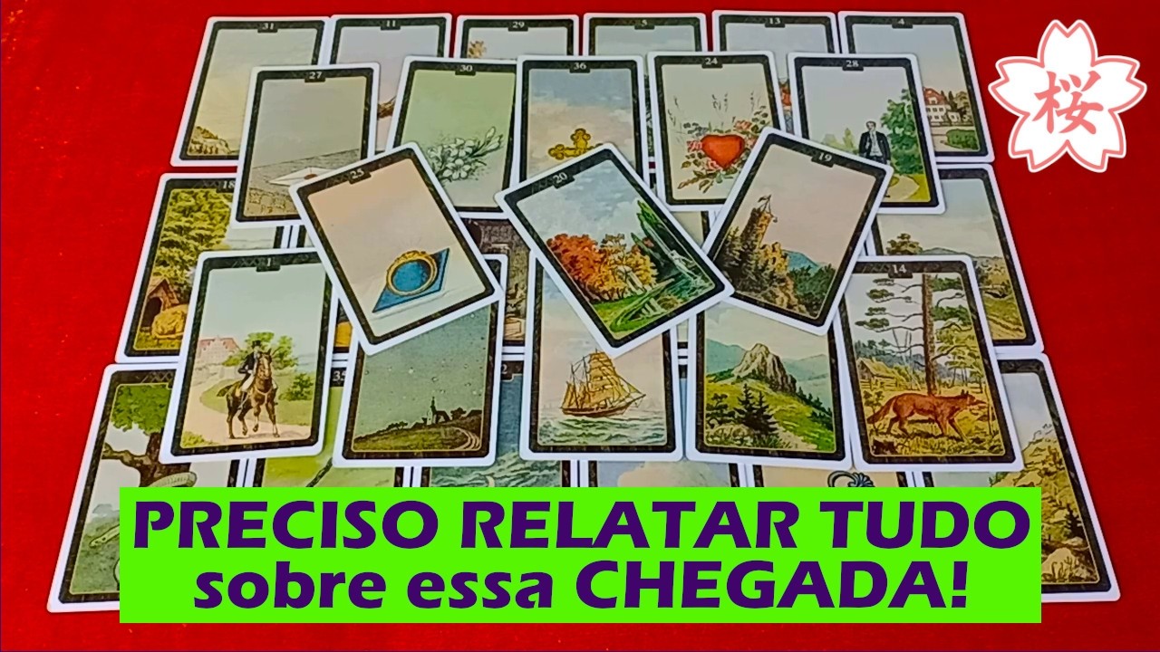 PRECISO RELATAR TUDO sobre essa CHEGADA! 💜