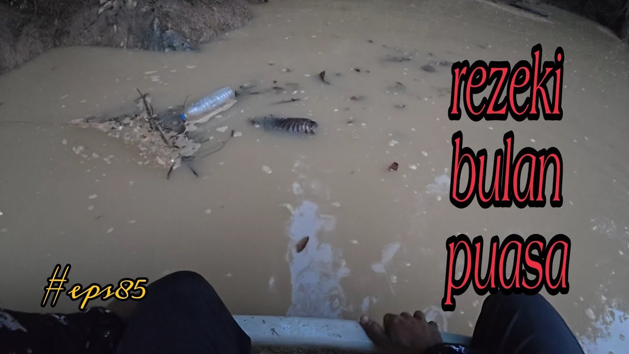 Tahan jaring dan tajur baung / alhamdulillah hasil petang hasil pagi puas hati (#eps85)