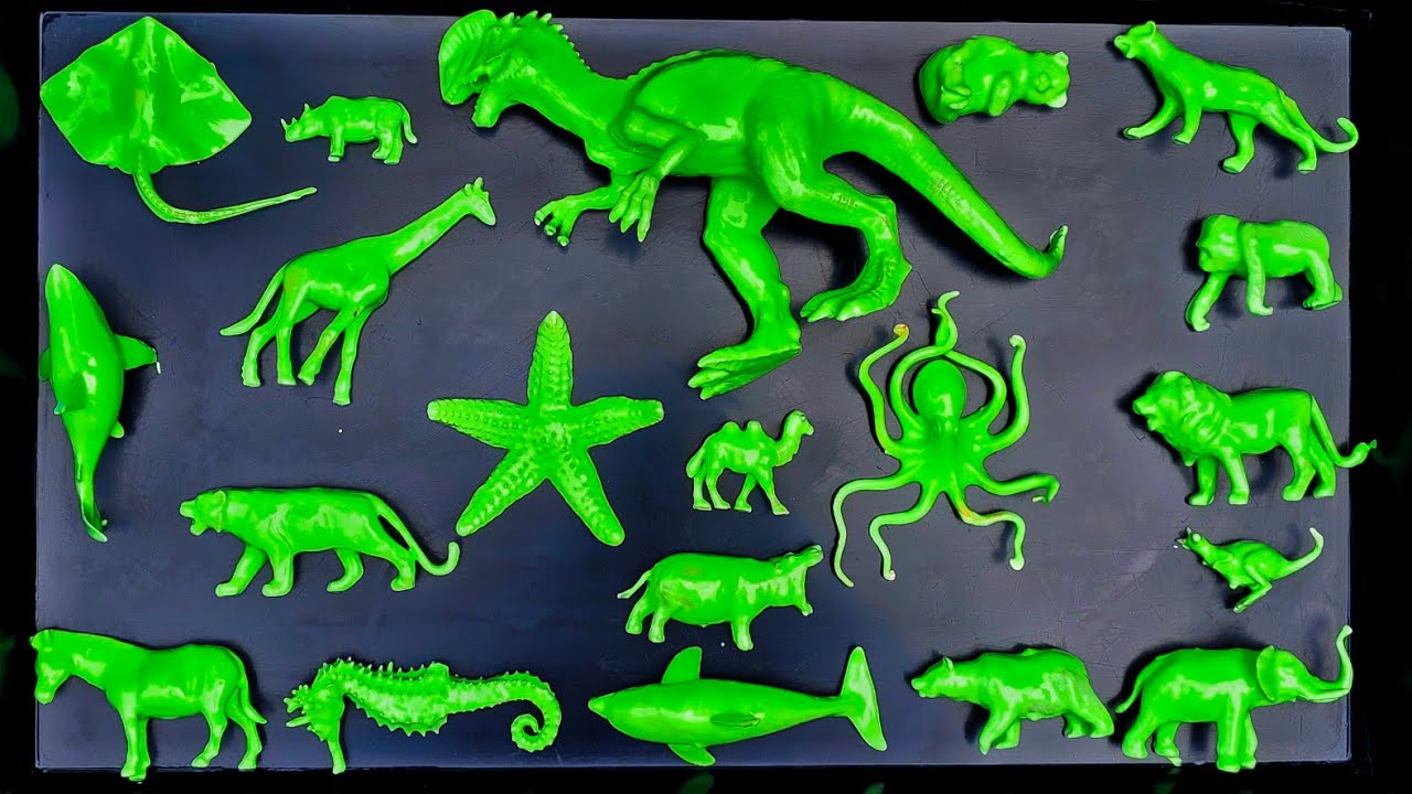 Membersihkan mainan hewan, dinosaurua, badak, hiu, gajah, singa, unta, pari, zebra, harimau, panda