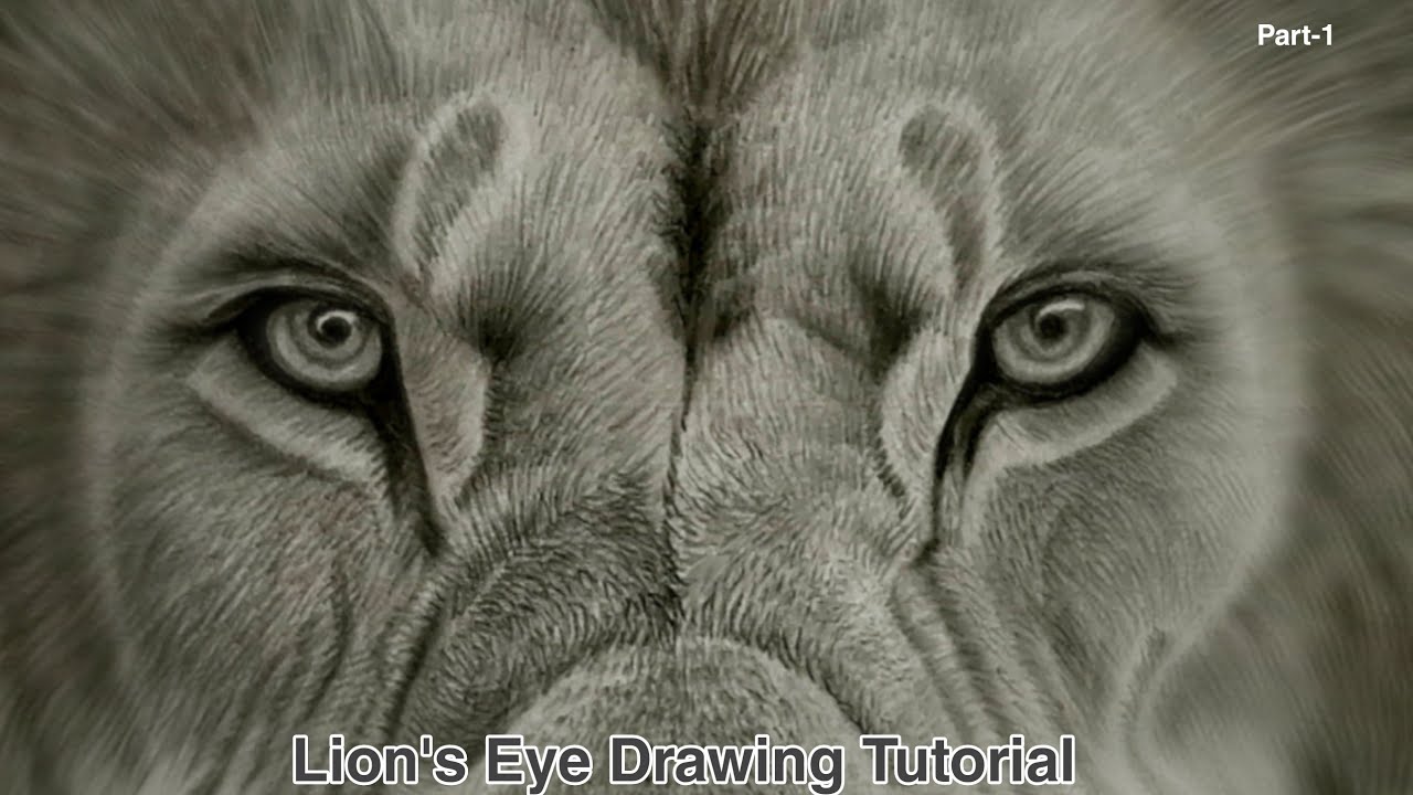 How to Draw Realistic Lion Eyes | Step-by-Step Guide for Beginners