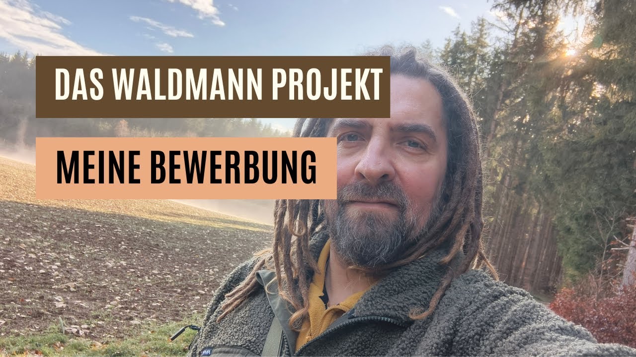 Sammeln bis das Harz kommt - Meine Bewerbung für #DasWaldmannProjekt
