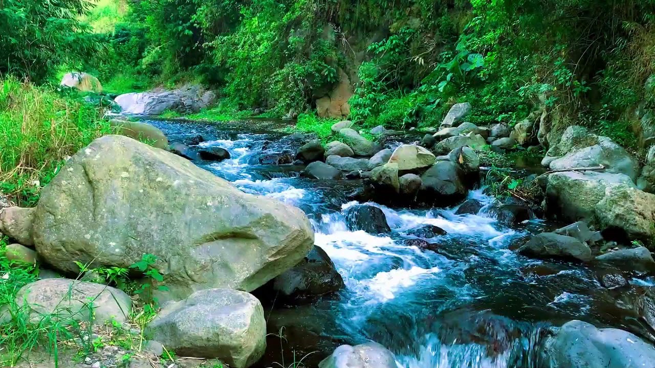 Forest River Waterfall Vibes for Deep Sleep, Mental Clarity