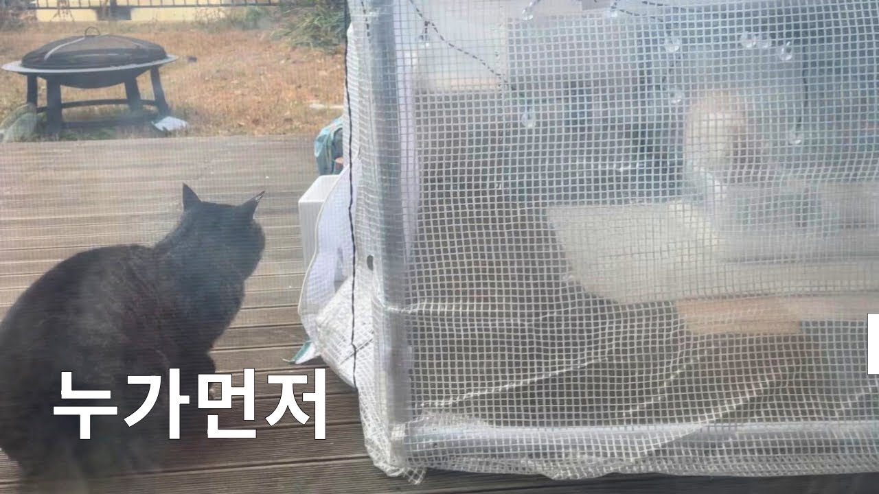 누가 먼저 머무는가