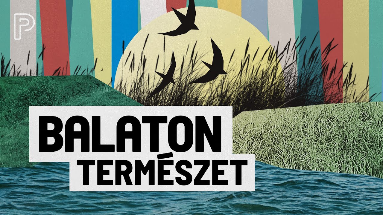 “Egyszer csak nem lesz Balatonunk, ha így folytatjuk” | Nád és beton - I. rész
