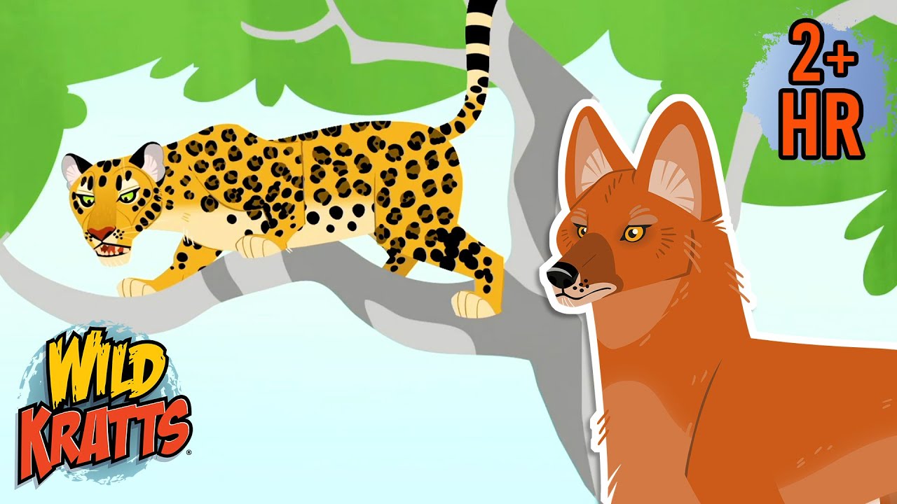Creature Combat | Dhole Pack Vs Leopard | Wild Kratts
