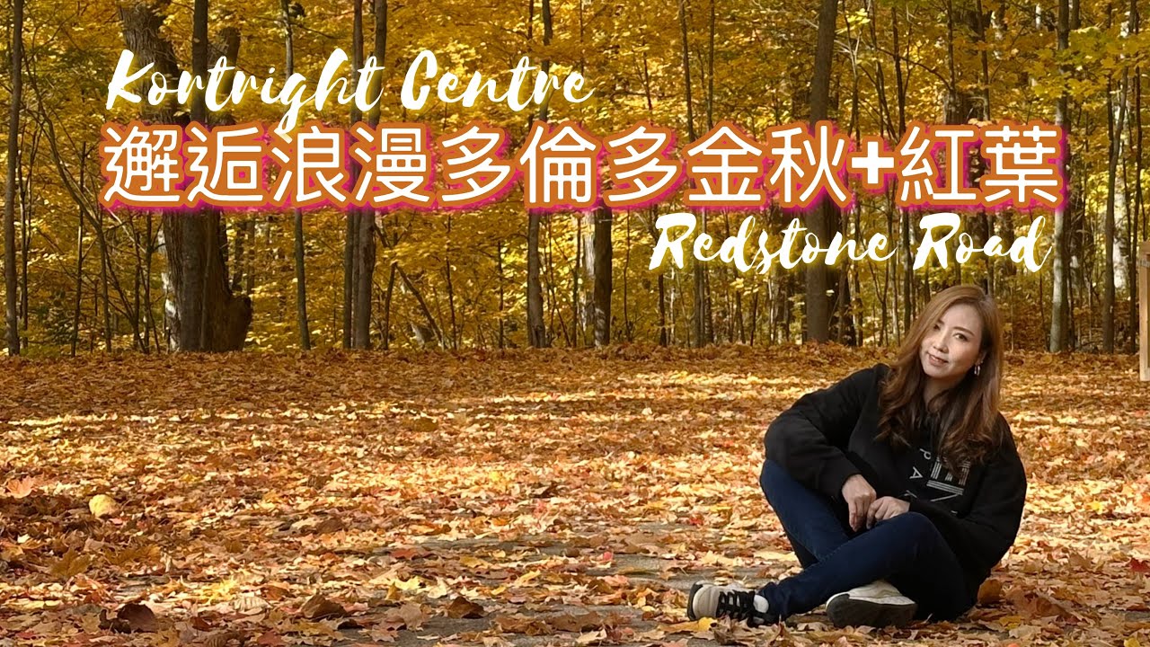 絕美多倫多秋色🍁除咗紅葉，仲有靚到不得了嘅金色森林！【廣東話】 #多倫多生活 