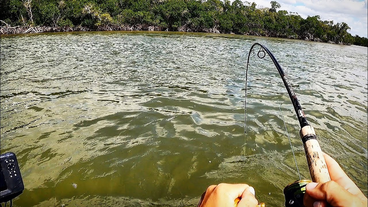 They Were CHEWING!!! (Everglades Pt 4)