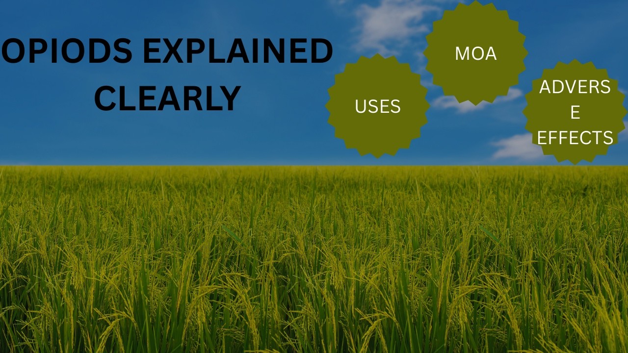 opiods uses and adverse effects along with antagonists