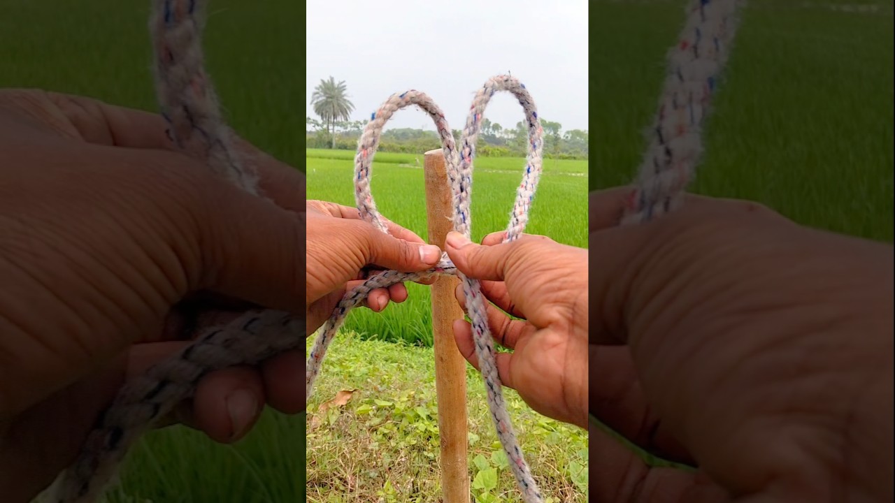 New Rope Knot Trick on a Wooden Stick | Smart & Strong Rope Wrapping Technique🪢#ropeknots#knottrick