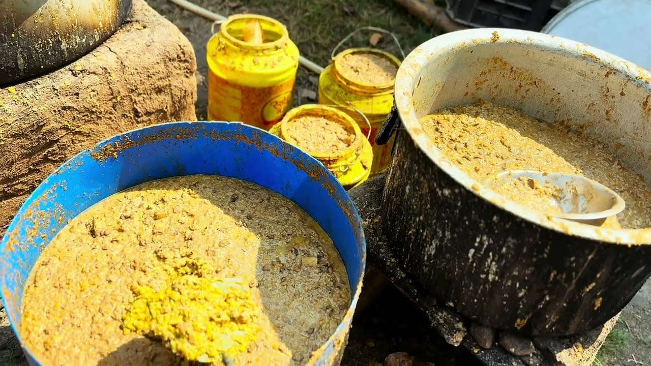 झारखण्ड राज्य का एक बेहतर #सुअर फार्म #pig_farm_traning #pigfeed #nj_farming #pigfarming #pig 