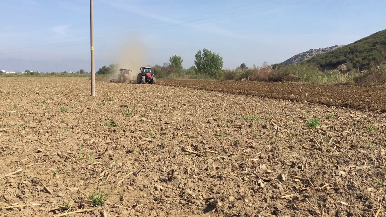 Massey Ferguson 5613 Dyna 6 vs Massey Ferguson 5613 Dyna 4