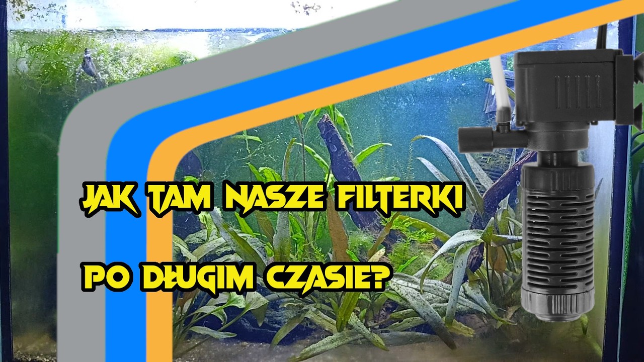 Czy Filtry się Spisują?