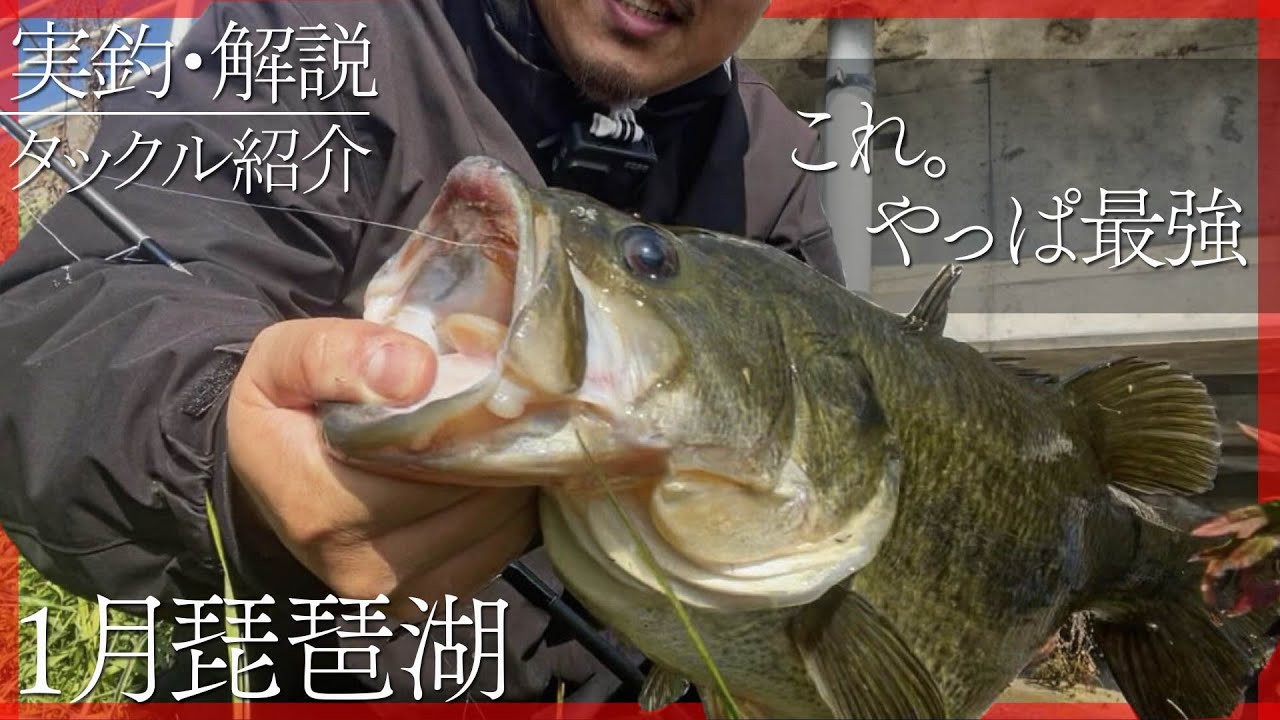 釣るための考え方。キモは目線？【琵琶湖バス釣り】