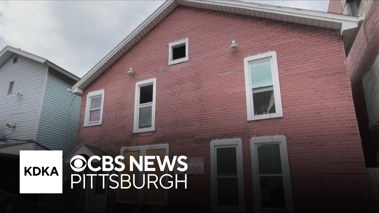 Cat ignites stove and sparks apartment fire in Pennsylvania, officials say