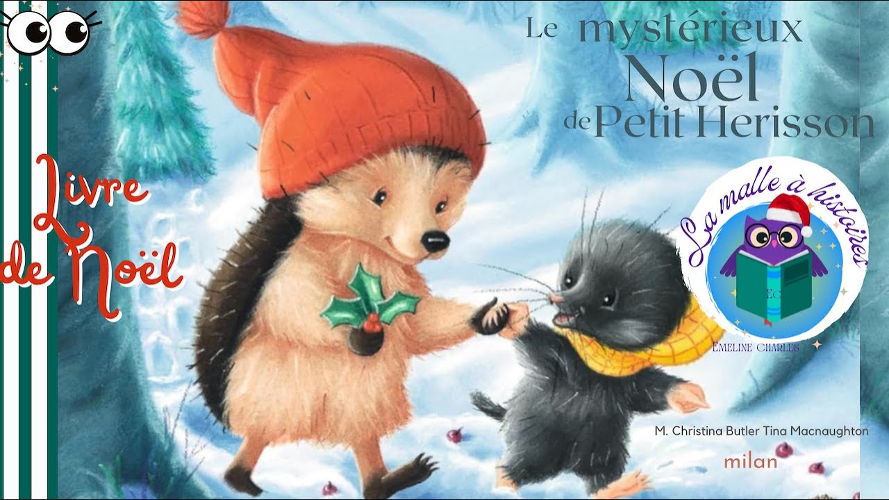 Le mystérieux Noël de Petit Hérisson- 🎅Histoire pour s'endormir - @La malle à histoires