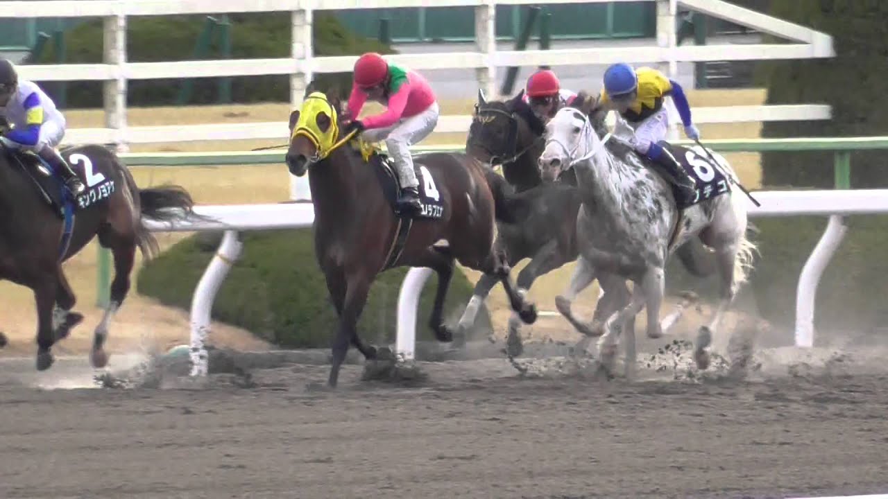 2016/1/30　北山ステークス(ブチコ追跡映像)