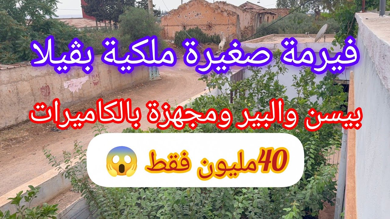 فيرمة ه فيها بيسين جردة +البئر ثمن البيع 40 ملكية 0670737495