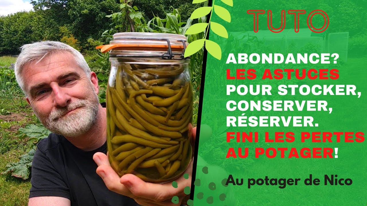 Toutes les astuces pour éviter les pertes quand il y a trop de légumes au potager?