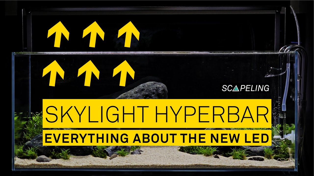 Skylight Hyperbar Aquarium LED - features, accessories and first conclusion!