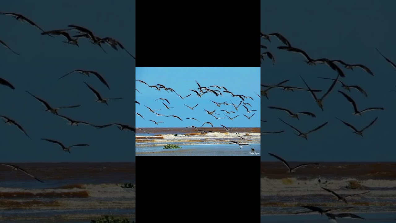 27 Motivos para conhecer Ilha Comprida SP