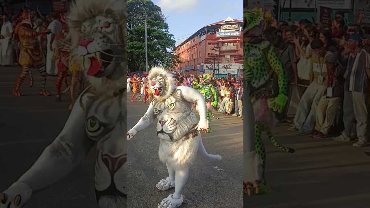 Pulikali Kerala Thrissur 2025 live #festival #travel #tourist #love #onam #fun #pulikali #coversong