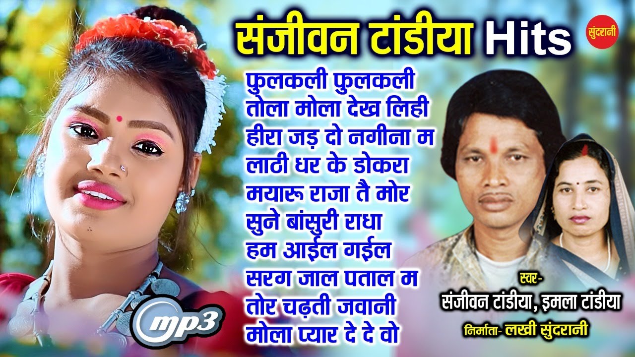 Sanjivan Tandiya Hit's | छत्तीसगढ़ी गाना |CG Top - 10| chhattisgarhi songs | Audio jukebox songs 2022