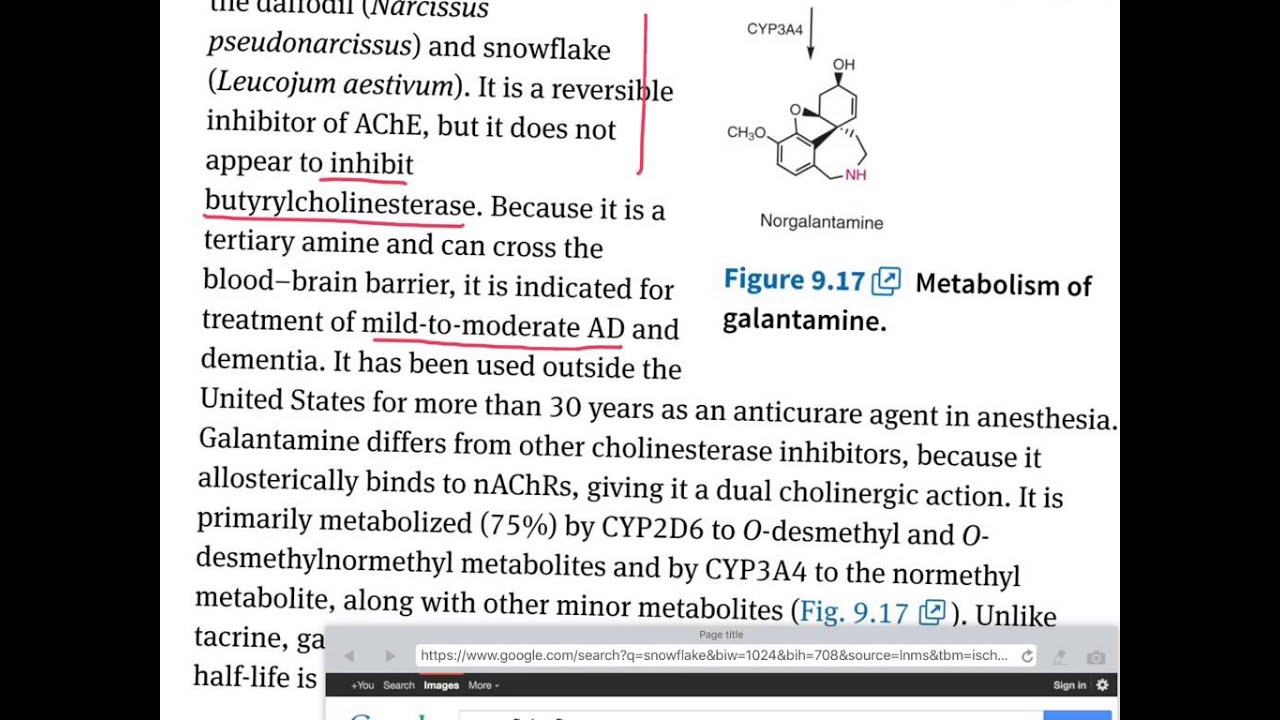 Anti-Alzheimer's: Part 4 - Galantamine and Summary